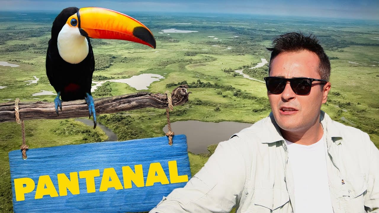 Thumbnail: Pantanal | Biomas do Brasil | Ep.1