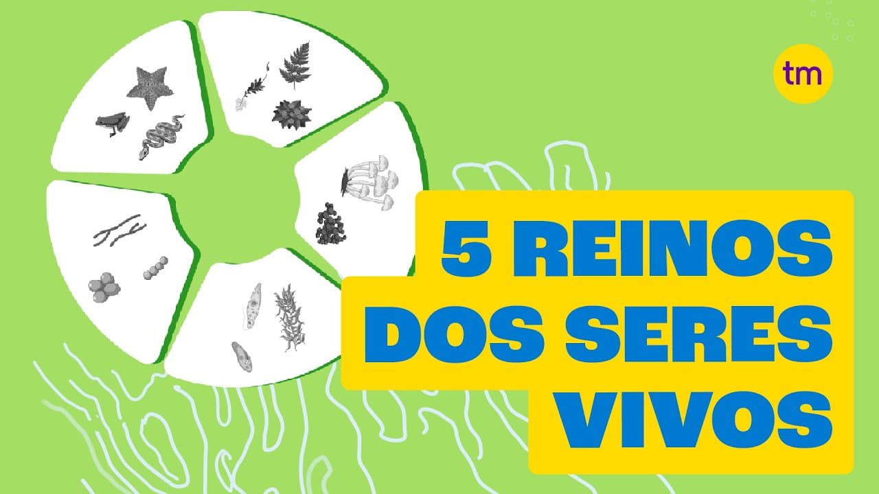 Thumbnail: Conheça os 5 Reinos dos seres vivos