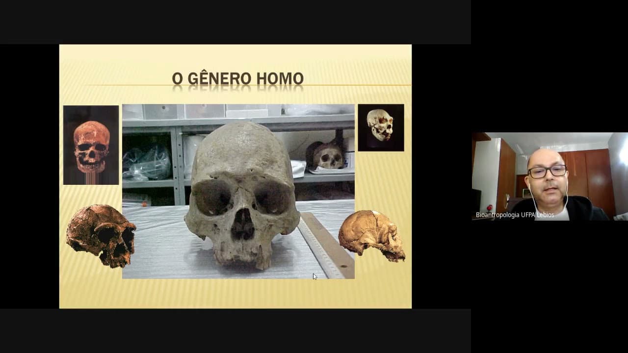 Thumbnail: Medicina Darwiniana - Prof. Dr. Hilton Silva (UFPA). 17/05/2021 - Seminário IBUSP