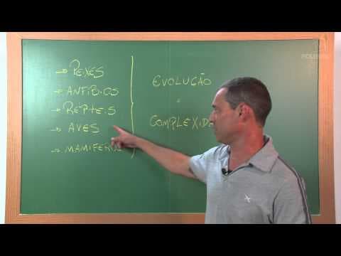 Thumbnail da aula: Videoaulas Poliedro | Enem | Evolução x Complexidade