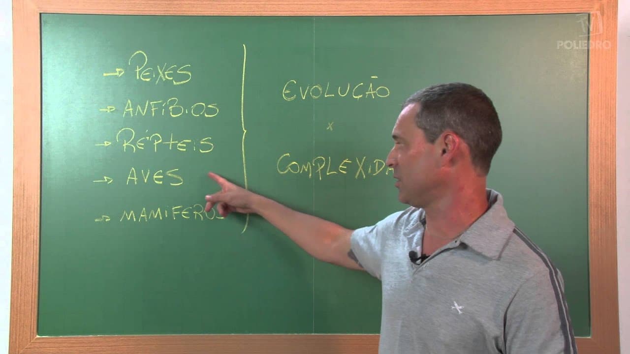 Thumbnail: Videoaulas Poliedro | Enem | Evolução x Complexidade
