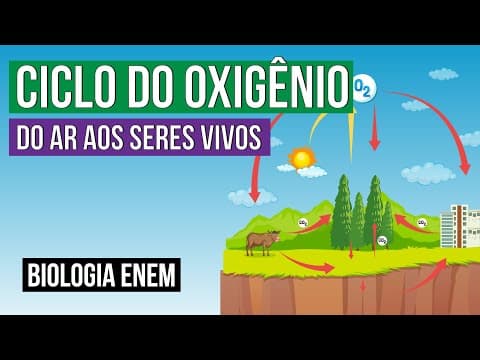 Thumbnail da aula: CICLO DO OXIGÊNIO: do ar aos seres vivos | Biologia para o Enem | Cláudia de Souza Aguiar