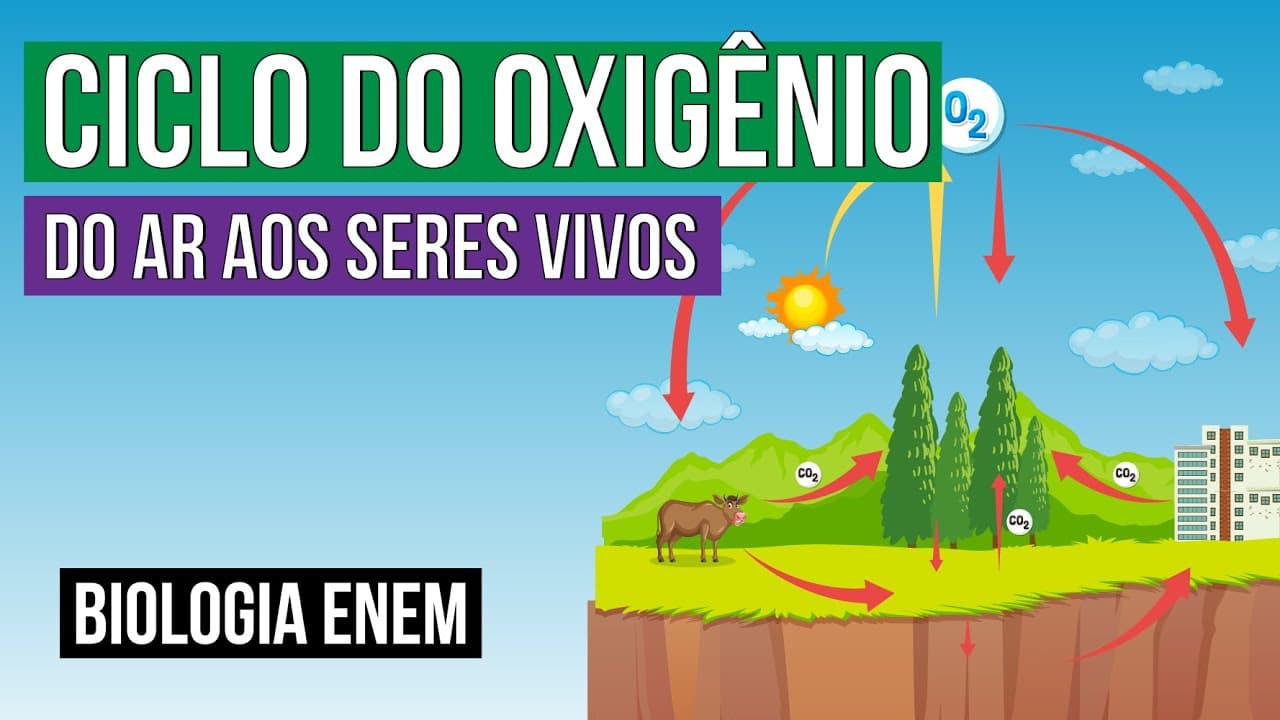 Thumbnail: CICLO DO OXIGÊNIO: do ar aos seres vivos | Biologia para o Enem | Cláudia de Souza Aguiar