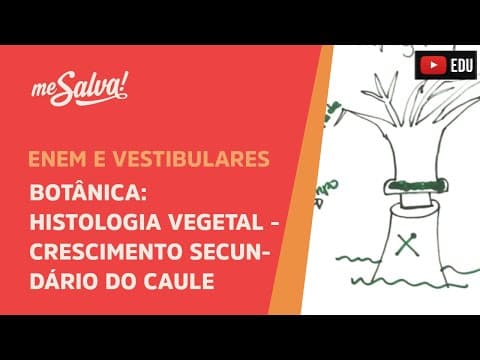 Thumbnail da aula: Me Salva! BOT22 - Botânica - Histologia vegetal: crescimento secundário do caule
