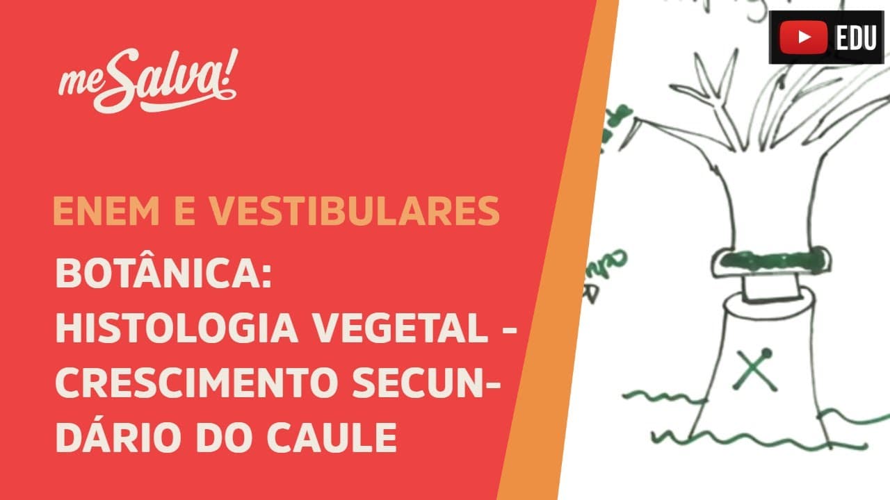 Thumbnail: Me Salva! BOT22 - Botânica - Histologia vegetal: crescimento secundário do caule