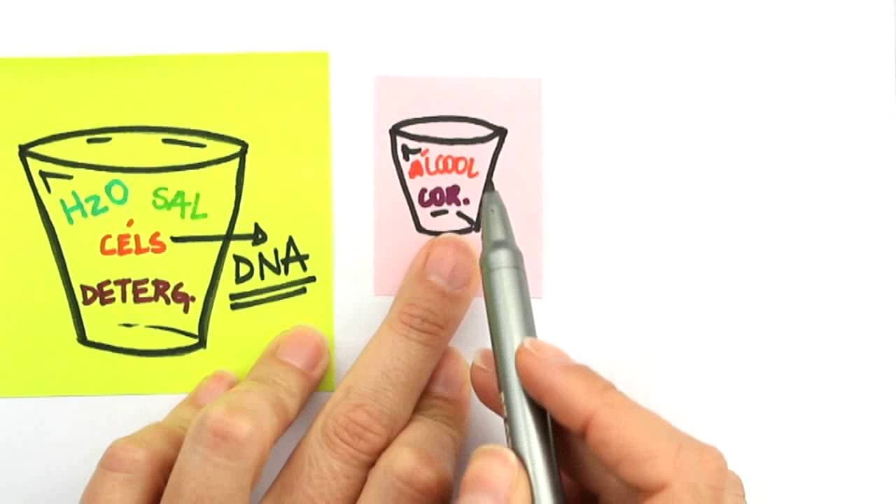 Thumbnail: Me Salva! LAB03 - Extraíndo DNA em casa - [Explicação]