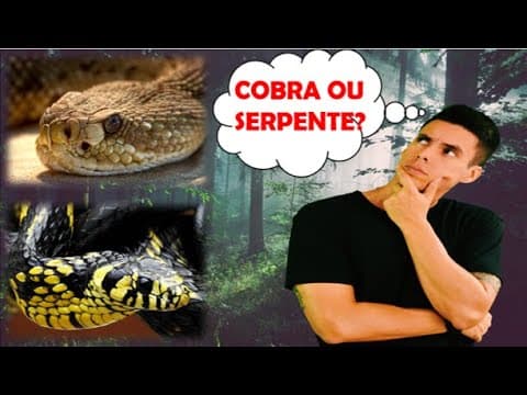Thumbnail da aula: Diferença entre cobra, víbora e serpente - Curiosidades biológicas