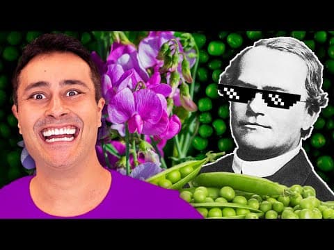 Thumbnail da aula: 1a LEI DE MENDEL: Como resolver EXERCÍCIOS