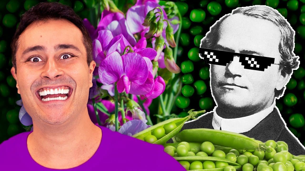 Thumbnail: 1a LEI DE MENDEL: Como resolver EXERCÍCIOS