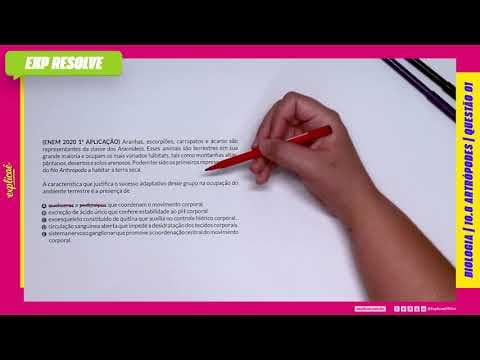 Thumbnail da aula: ARANHAS, ESCORPIÕES, CARRAPATOS E ÁCAROS SÃO REPRESENTANTES DA CLASSE DOS (...) | ARTRÓPODES