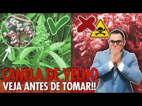 Thumbnail da aula: Canela de Velho: para que serve e como usar com segurança!