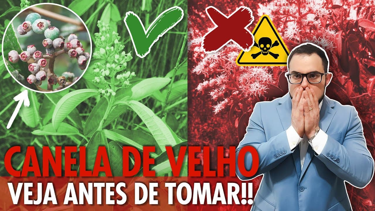 Thumbnail: Canela de Velho: para que serve e como usar com segurança!