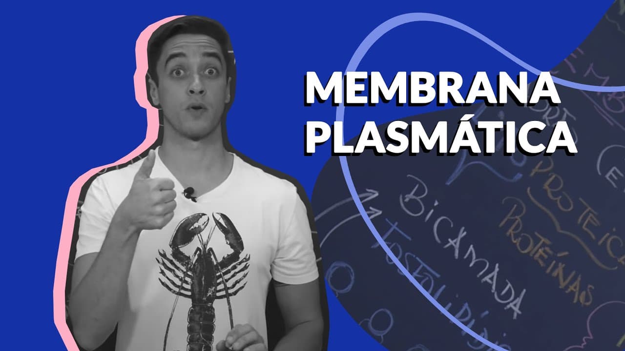 Thumbnail: Stoodi | Pocket Aula: Biologia - Membrana Plasmática