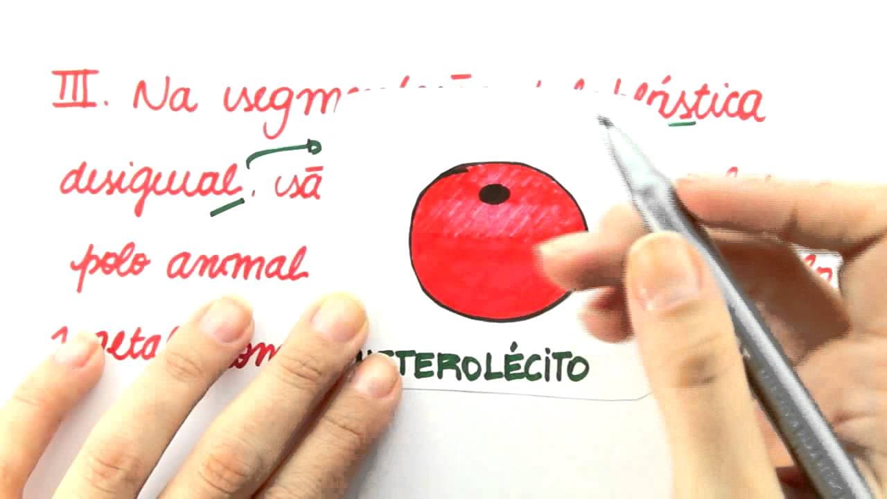Thumbnail: Me Salva! Maratona de Simulados 2015/1 - Biologia - Questão 1
