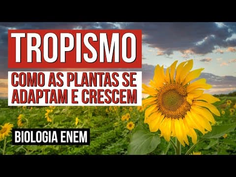 Thumbnail da aula: TROPISMO: como as plantas se adaptam e crescem | Biologia para o Enem | Cláudia de Souza Aguiar