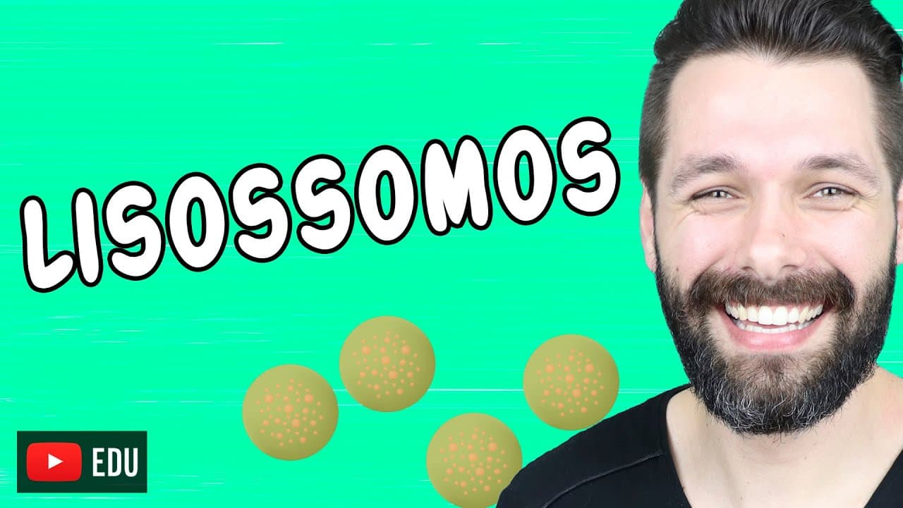 Thumbnail: LISOSSOMOS E DIGESTÃO CELULAR - Citologia | Biologia com Samuel Cunha