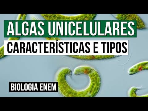 Thumbnail da aula: ALGAS UNICELULARES: características e tipos | Biologia para o Enem | Cláudia de Souza Aguiar