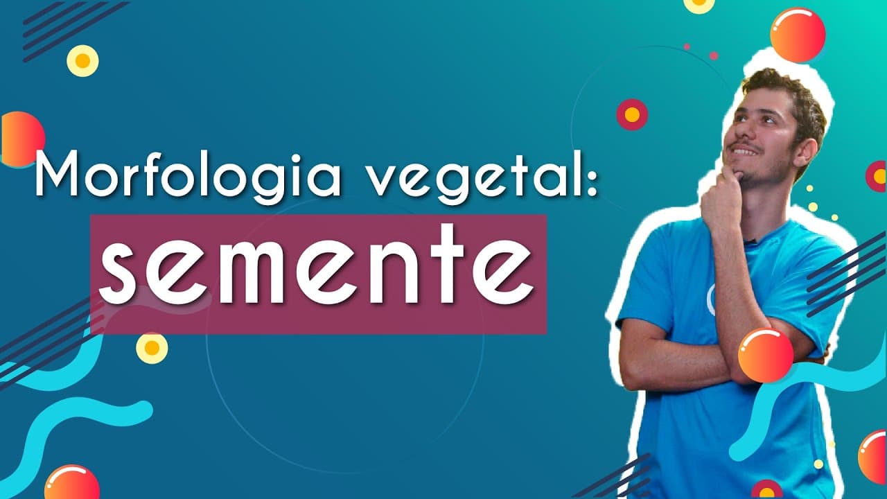 Thumbnail: Morfologia vegetal: semente - Brasil Escola