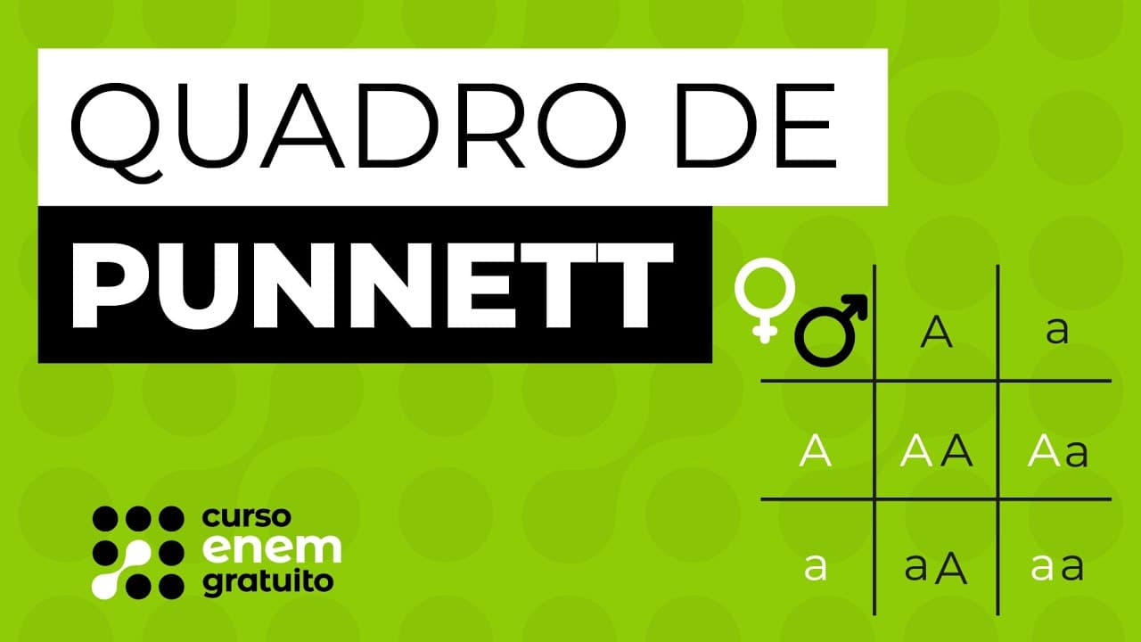 Thumbnail: QUADRO DE PUNNETT | Biologia para o Enem | Claúdia de Souza Aguiar