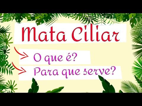 Thumbnail da aula: Entenda a importância da Mata Ciliar para a preservação do meio ambiente
