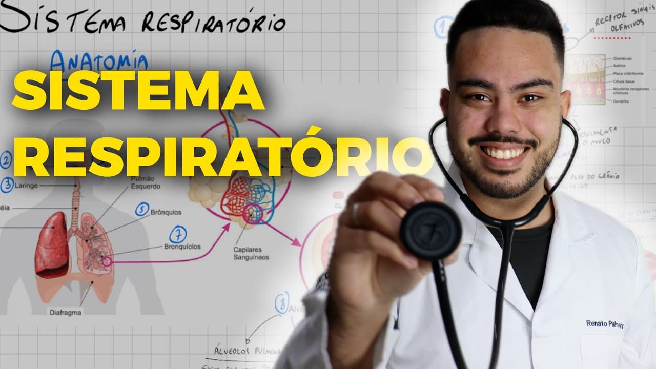 Thumbnail: 🫁 SISTEMA RESPIRATÓRIO: O que você PRECISA saber para o ENEM!
