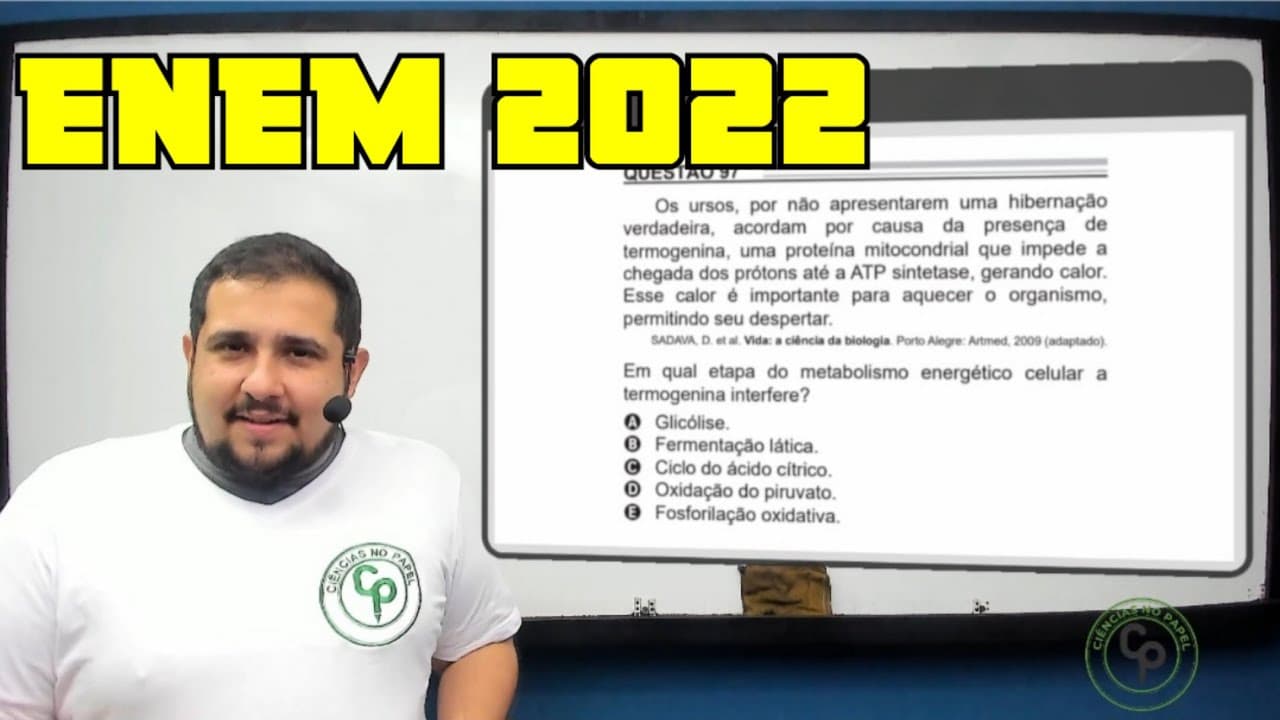 Thumbnail: ENEM 2022 - Os ursos, por não apresentarem uma hibernação verdadeira, acordam por causa da presença
