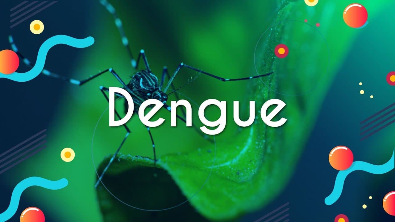 Thumbnail: Dengue - Brasil Escola