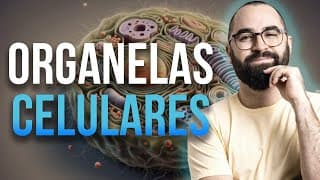 Retículos, Golgi, Ribossomo e Acrossomo - Aula 23 - Módulo 1 - Biologia Celular | Prof. Guilherme