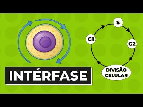 Thumbnail da aula: INTÉRFASE | Resumo de Biologia para o Enem