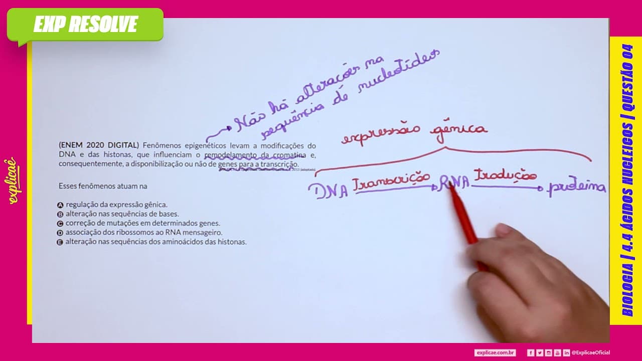 Thumbnail: FENÔMENOS  EPIGENÉTICOS LEVAM A MODIFICAÇÕES DO DNA E DAS HISTONAS, QUE (...)  ÁCIDOS NUCLEICOS
