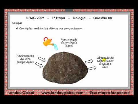 Thumbnail da aula: UFMG_2009_BIO_P1_Q08