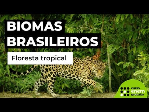 Thumbnail da aula: FLORESTA TROPICAL: biomas | Biologia para o Enem | Cláudia de Souza Aguiar