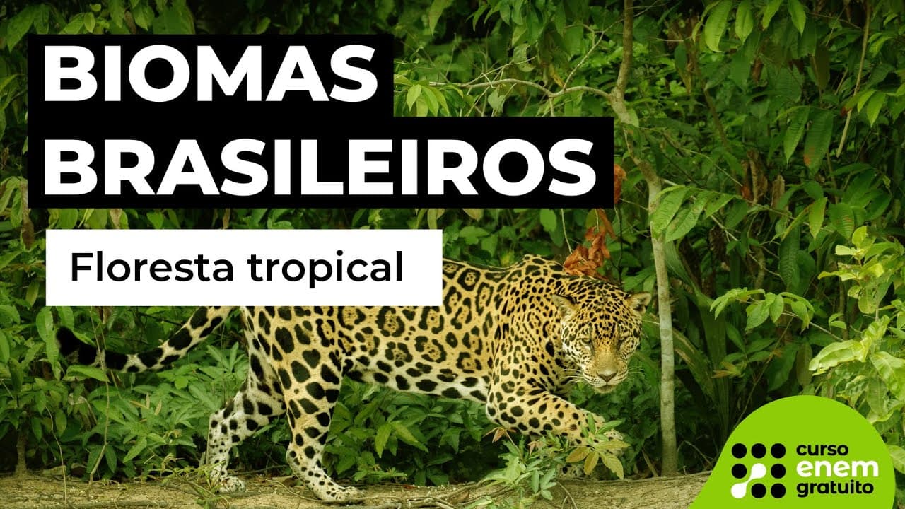 Thumbnail: FLORESTA TROPICAL: biomas | Biologia para o Enem | Cláudia de Souza Aguiar