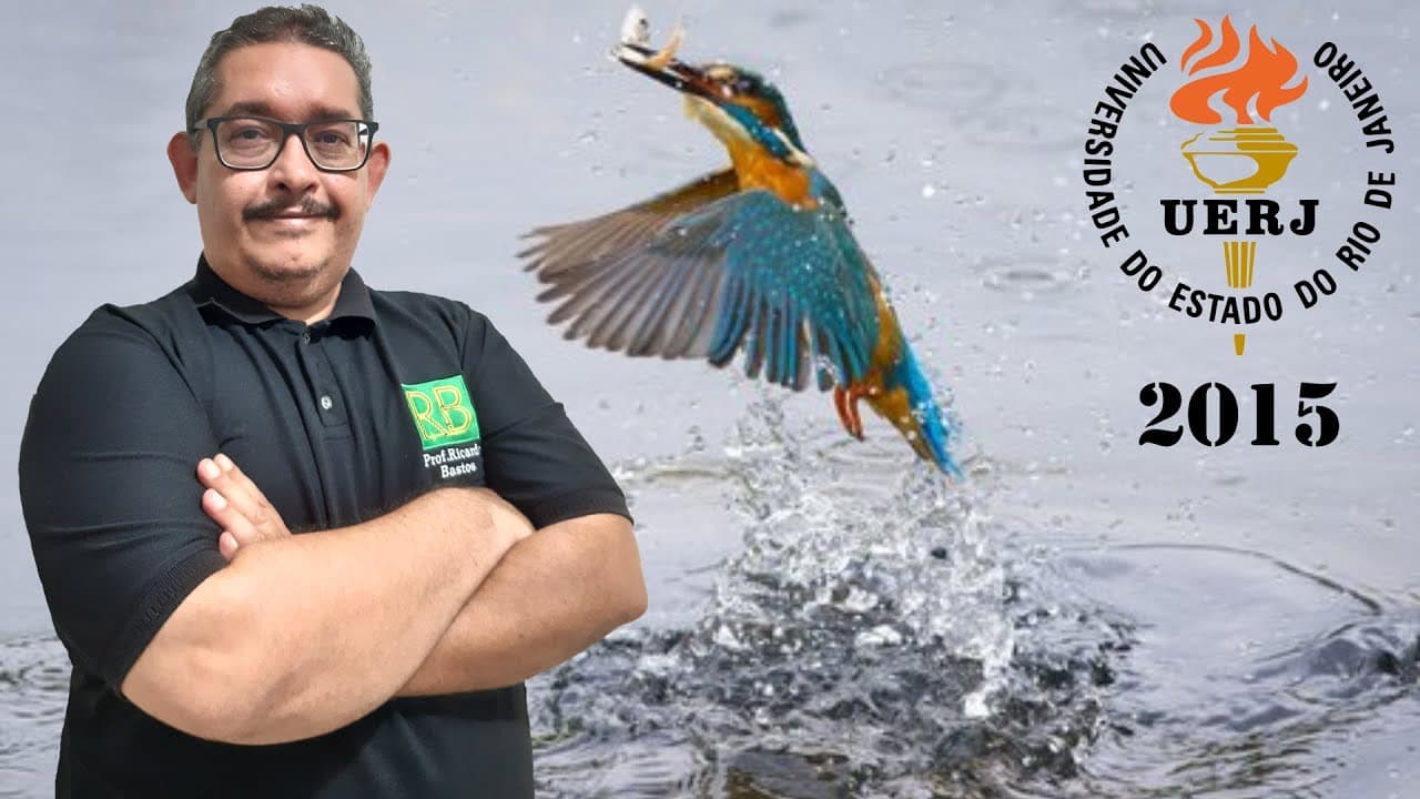 Thumbnail: Uerj 2015 | Uma ave marinha costuma mergulhar de uma altura de 20 m para buscar alimento no mar