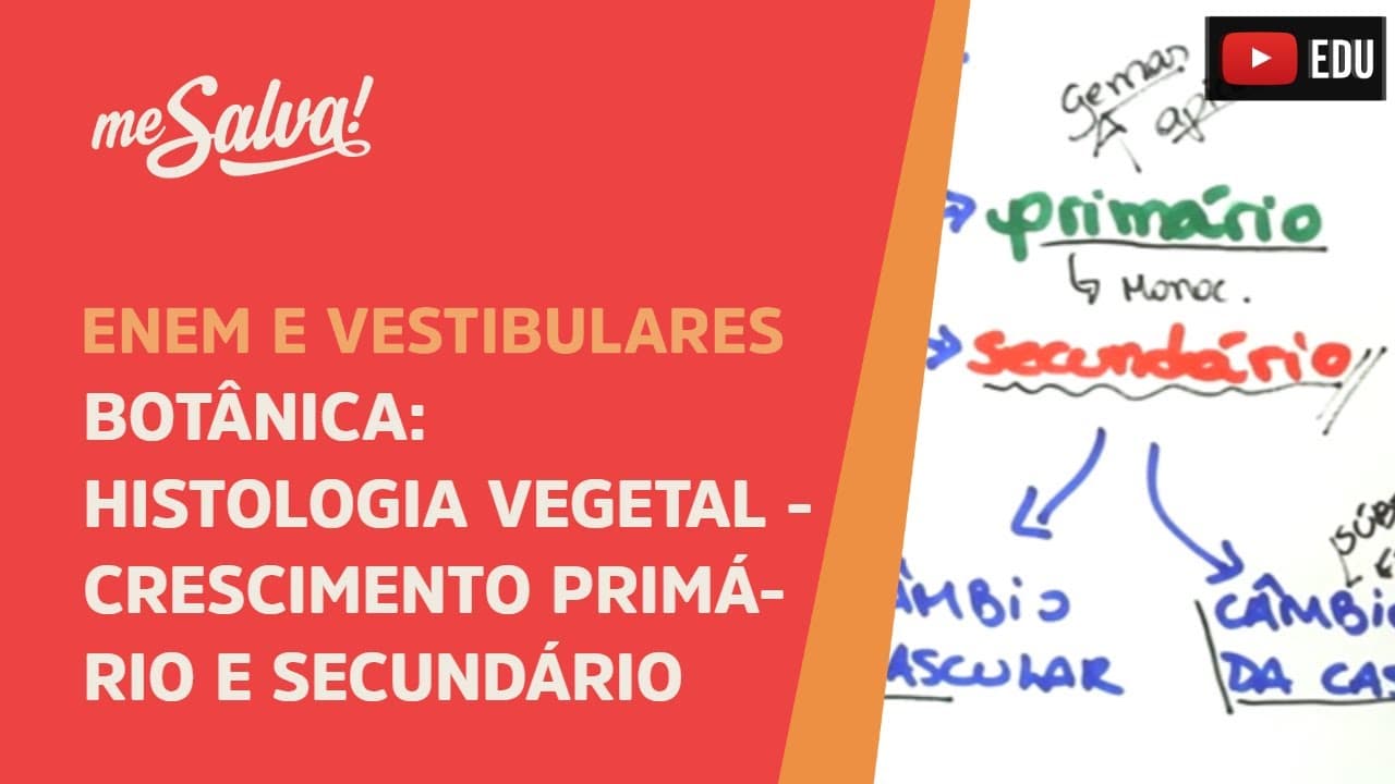 Thumbnail: Me Salva! BOT15 - Botânica - Histologia vegetal: crescimento primário e secundário