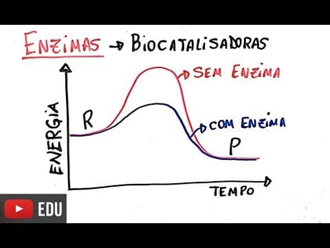 Thumbnail da aula: Proteínas - Enzimas