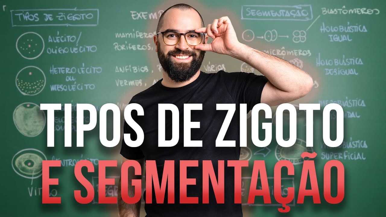 Thumbnail: Tipos de Zigoto e Segmentação - Aula 02 - Módulo 6: Embriologia e Zoologia