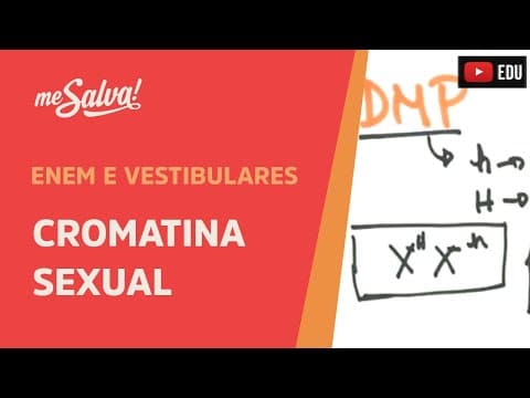 Thumbnail da aula: Me Salva! GEN20 - Genética - Cromatina Sexual