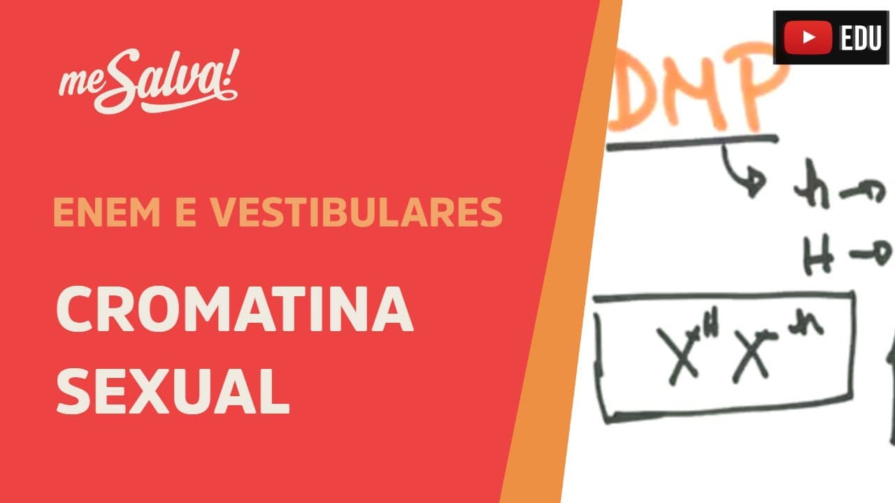 Thumbnail: Me Salva! GEN20 - Genética - Cromatina Sexual