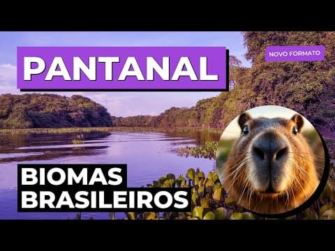 Thumbnail da aula: BIOMAS BRASILEIROS: Pantanal | Biologia para o Enem e o Encceja | Cláudia de Souza Aguiar