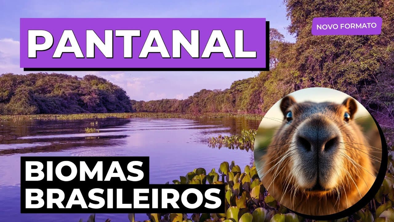 Thumbnail: BIOMAS BRASILEIROS: Pantanal | Biologia para o Enem e o Encceja | Cláudia de Souza Aguiar