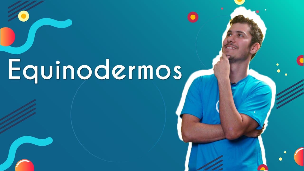 Thumbnail: Equinodermos  - Brasil Escola