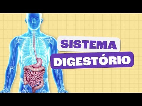 Thumbnail da aula: Sistema Digestório - Toda Matéria