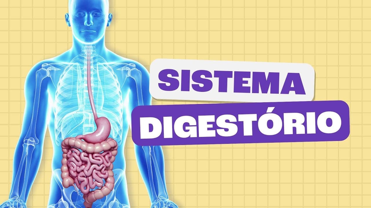 Thumbnail: Sistema Digestório - Toda Matéria