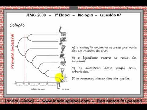 Thumbnail da aula: UFMG_2008_P1_BIO_Q07