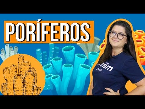 Thumbnail da aula: PORÍFEROS: estrutura, características e reprodução | RESUMO DE BIOLOGIA PARA O ENEM