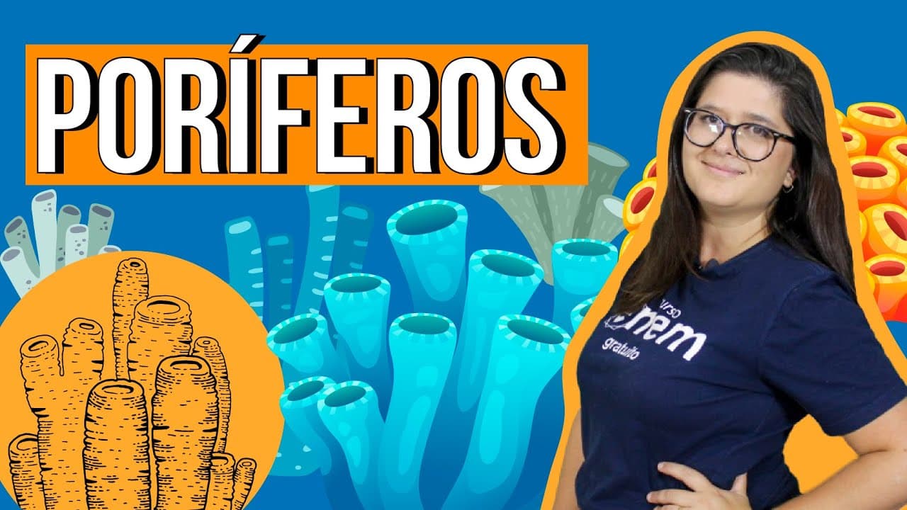 Thumbnail: PORÍFEROS: estrutura, características e reprodução | RESUMO DE BIOLOGIA PARA O ENEM