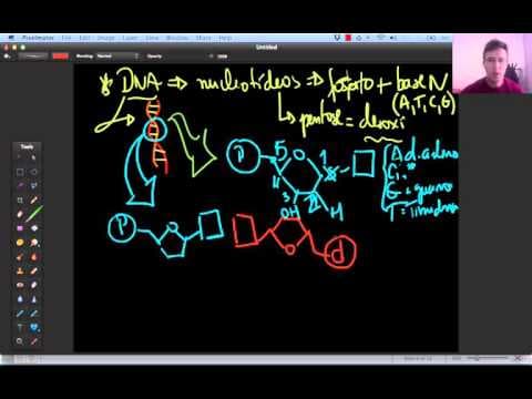 Thumbnail da aula: Vestibular UERJ 2015 - Biologia Específica - Questão 05