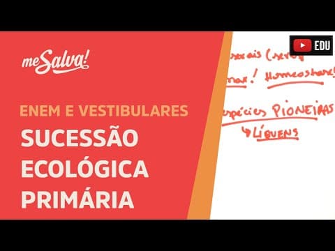 Thumbnail da aula: Me Salva! ECO19 - Ecologia - Sucessão ecológica: primária