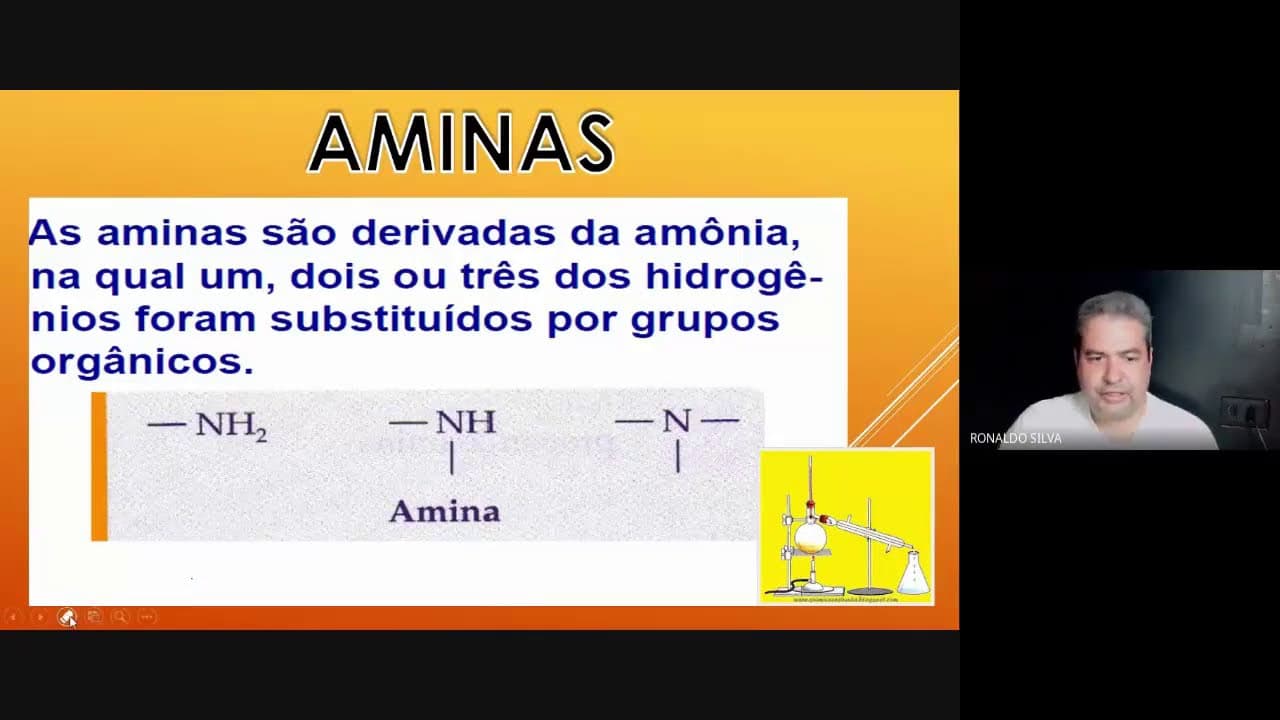 Thumbnail: Aminas Forever